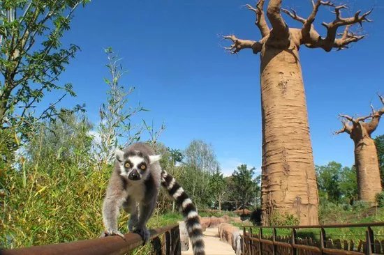 Attractions