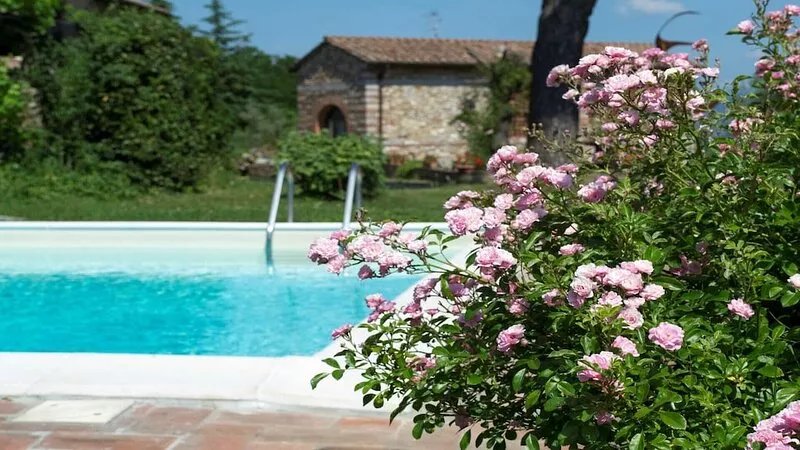 RELAX BETWEEN OLIVES AND WINEYARDS IN THE CHIANTI, ONLY 35MINUTES FROM FLORENCE!