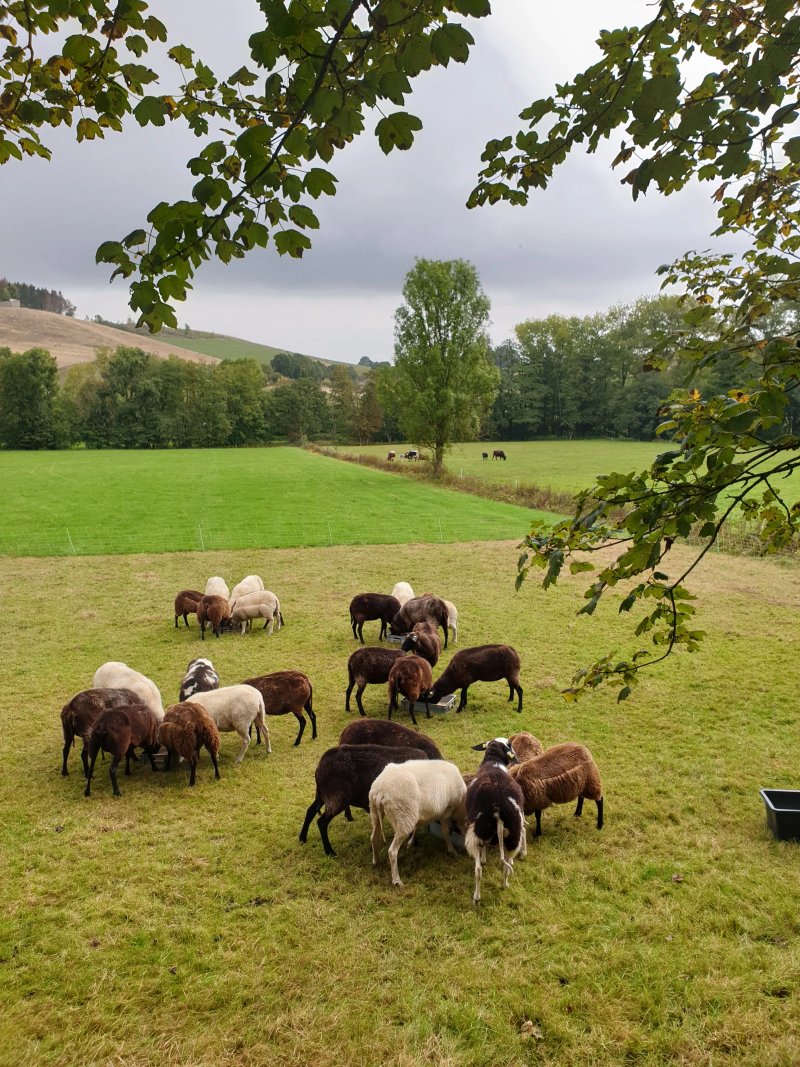 Happe-Schöeler Farm