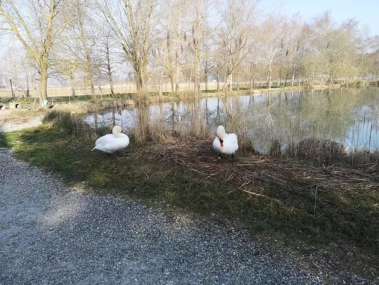 Quellpark Kundelfingerhof
