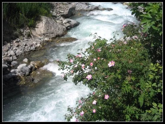 Asinerie de Valloirette