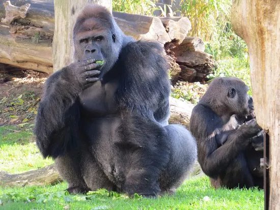 Krefeld Zoo