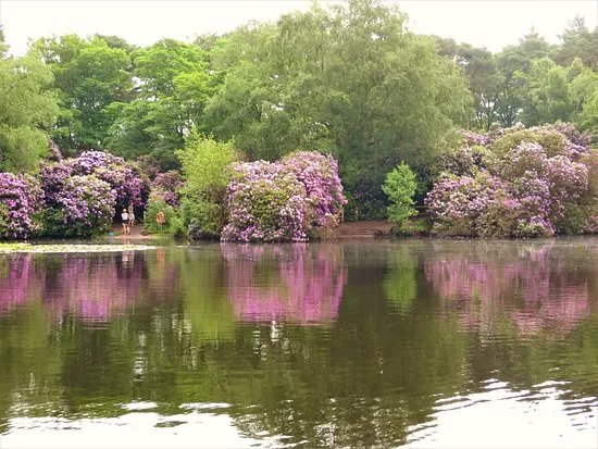 Royden Park
