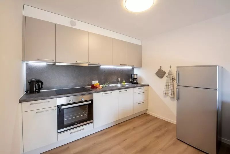 Cozy apartment Vinea