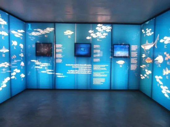 Museu de la Pesca