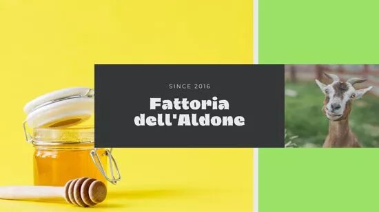 Fattoria dell'Aldone