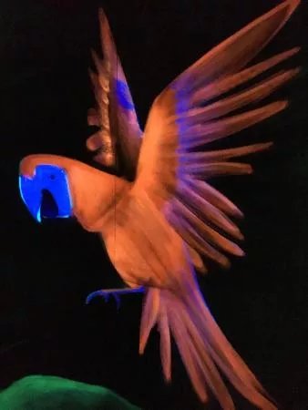 World of Lasertag