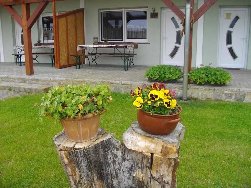 Holiday apartment on a horse farm