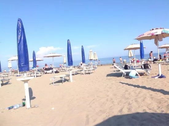 Lido Venice Beach