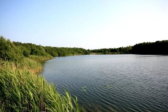 Wykeham Lakes Fishery