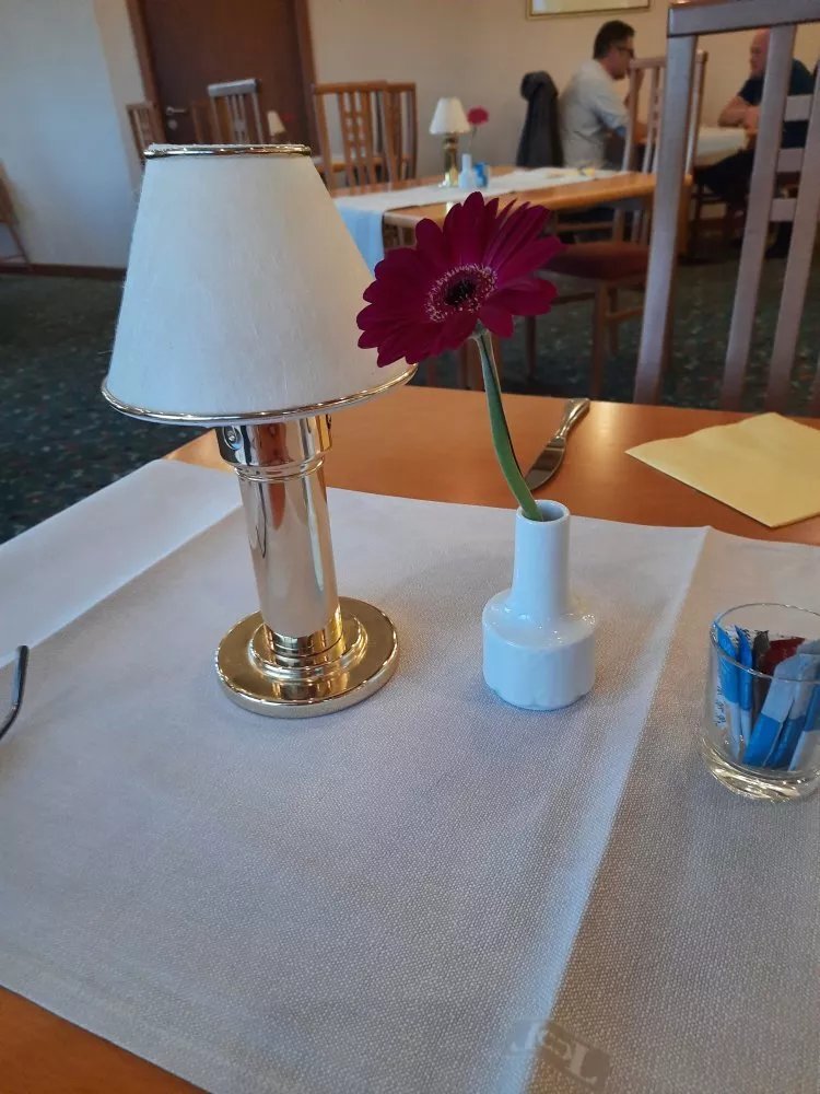 Burgenblick Im Best Western Hotel Erfurt Apfelstadt