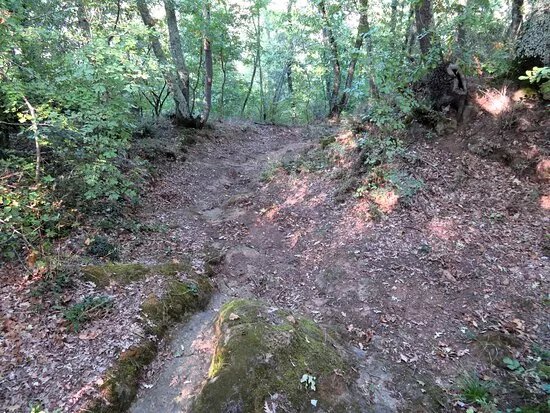 Area archeologica del SS Salvatore