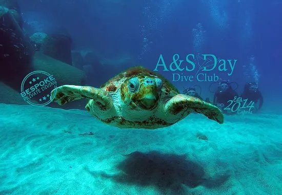 A & S Day Dive Club