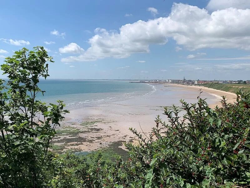 Pretty Seaside cottage, sleeps 4 (  dog friendly )