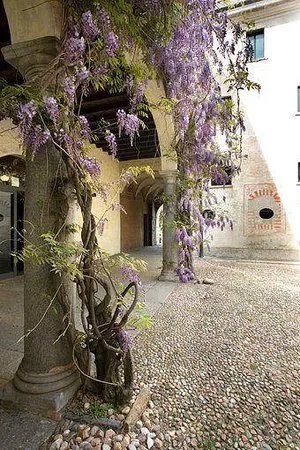 Castello di Masnago