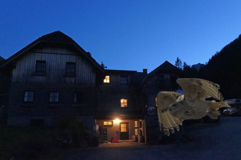 Bergerhube