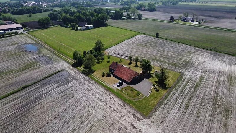 Family-friendly holiday home in a maize field in a secluded location, dogs