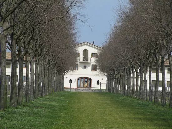 Azienda Agricola Quinta della Luna di Vettor Marco