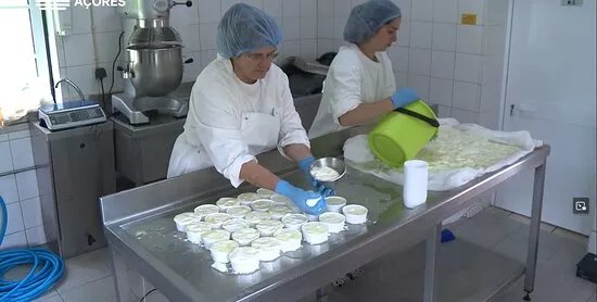 Experiencia - Producao De Queijo