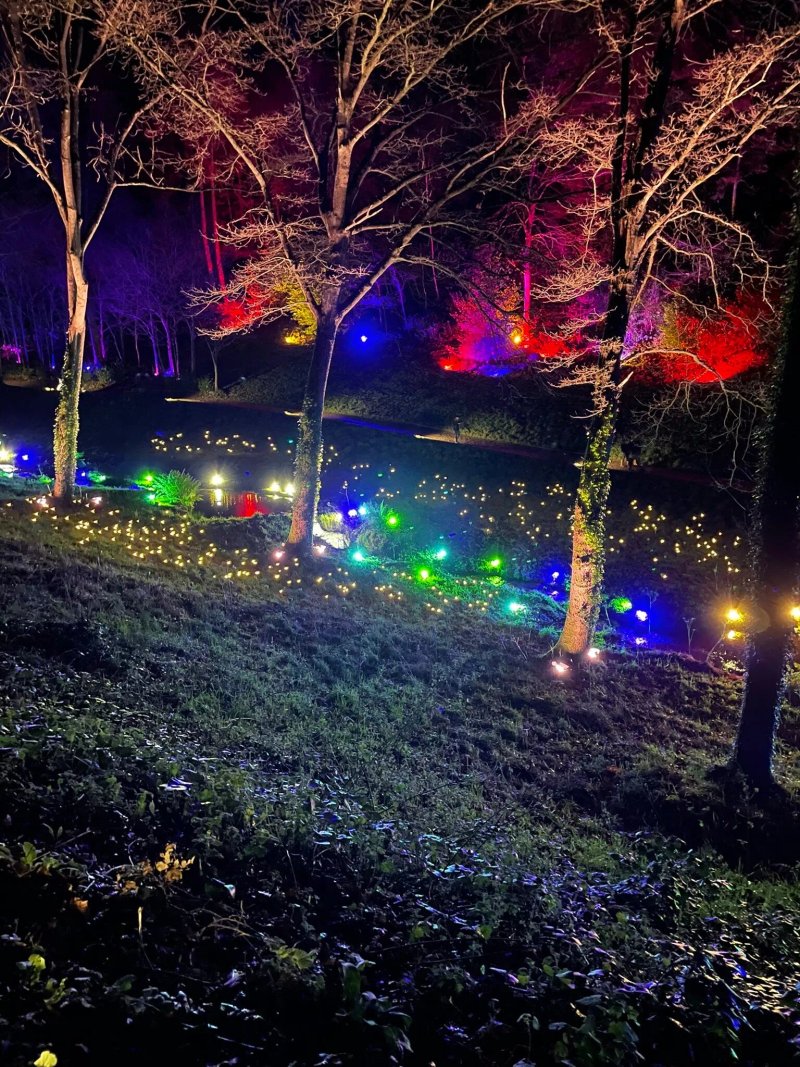 Hestercombe Gardens Illuminate