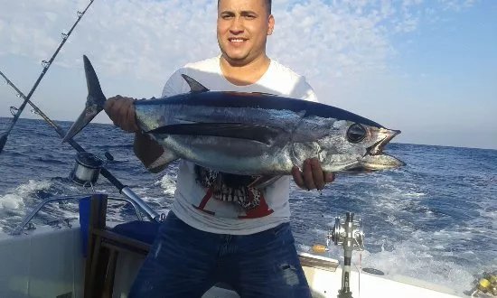Ori Bay