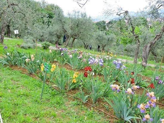 Giardino dell'Iris
