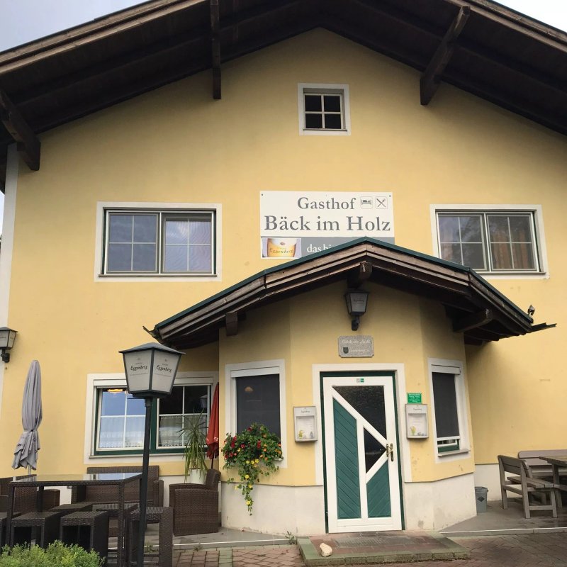 Back Im Holz