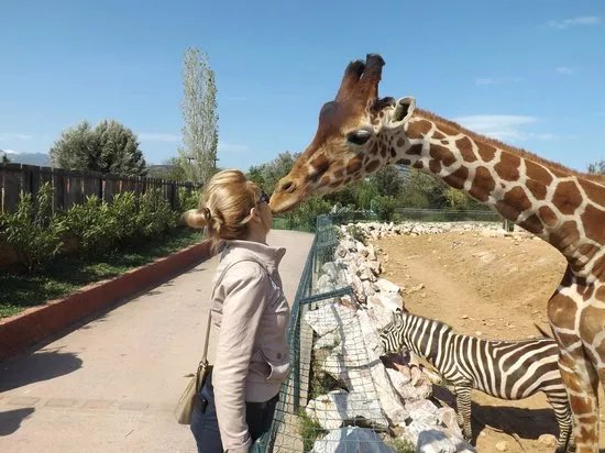 Attica Zoological Park