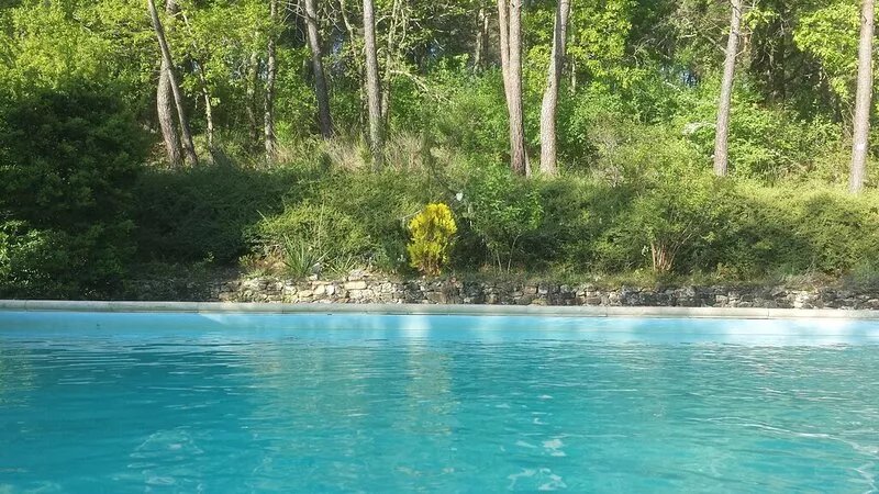 Nature lovers chalet nestled in the heart of Perigord with heated pool