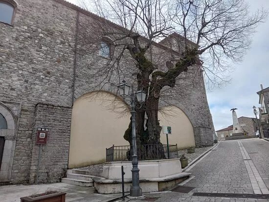 Parrocchia Santuario Santa Maria Assunta