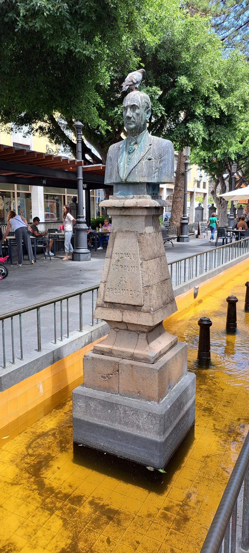 Bust Statue Of Dr Perez Camacho