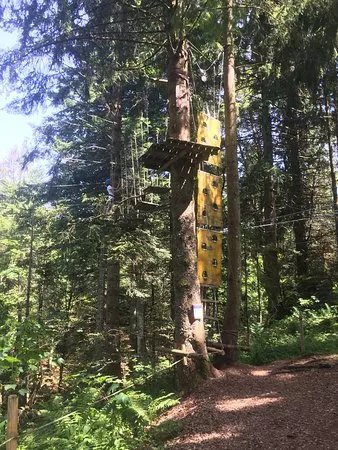 Klettergarten sport Hauber Oberstaufen