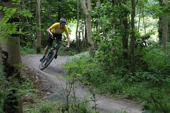 Pedal Progression