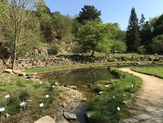Botanischer Garten der Universitat Osnabruck