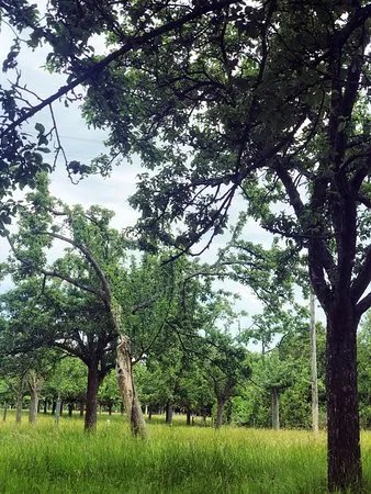 Domaine de la Pommeraie
