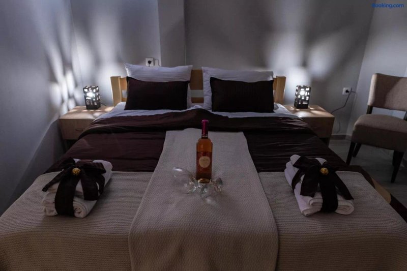 Smestaj & Spa Protic