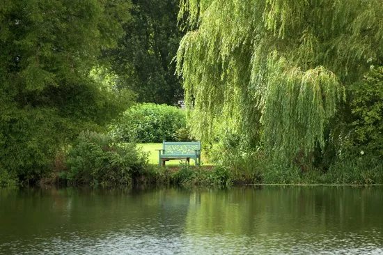 Sculpture By The Lakes