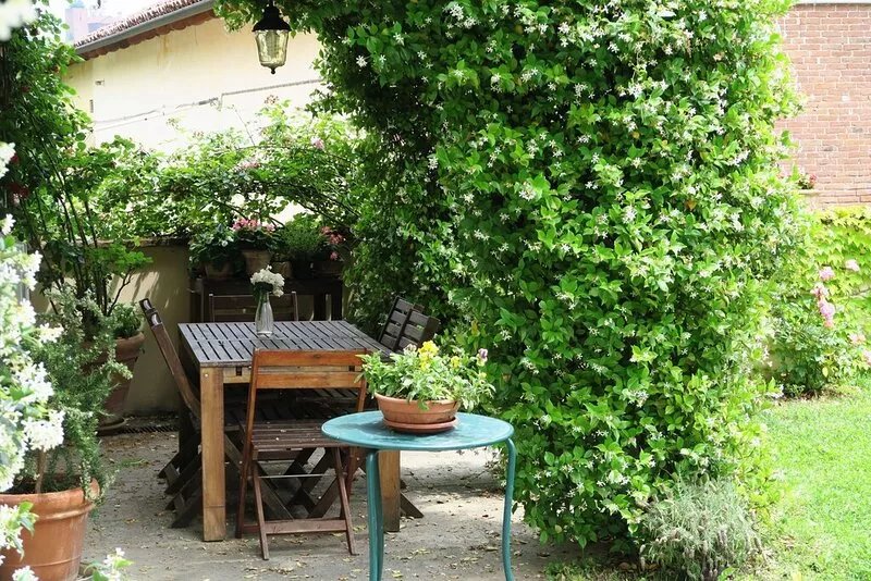 Il Tiglio 1, an ancient renovated farmhouse on the Turin hillside