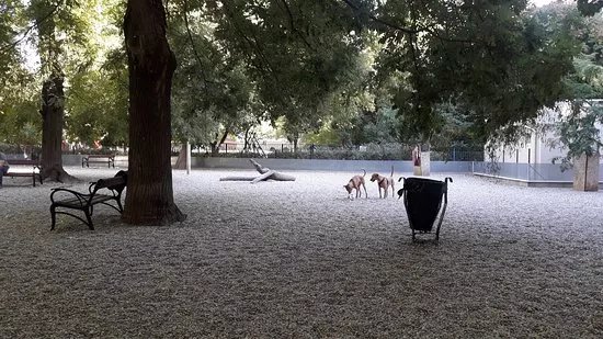 Klauzal Square
