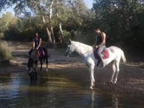 Hipica El Cortao