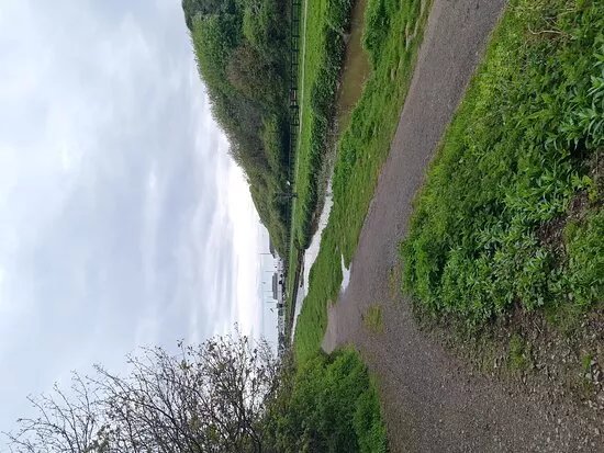 Saltburn Valley Gardens