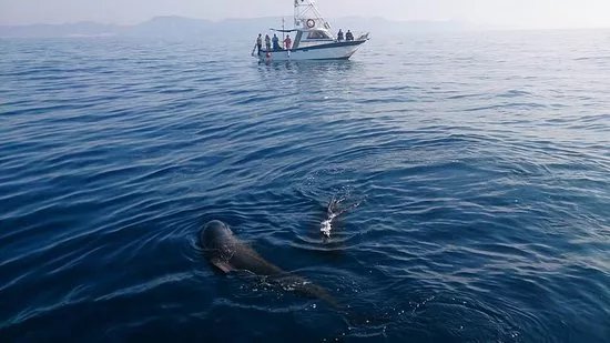 Rutas de Tierra y Mar