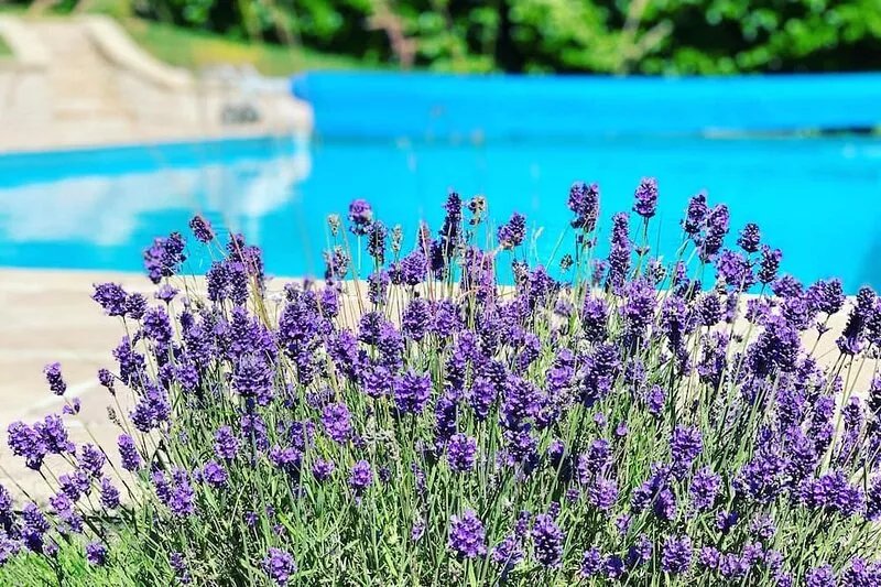 Superb Villa with pool, near Deauville former cider mill