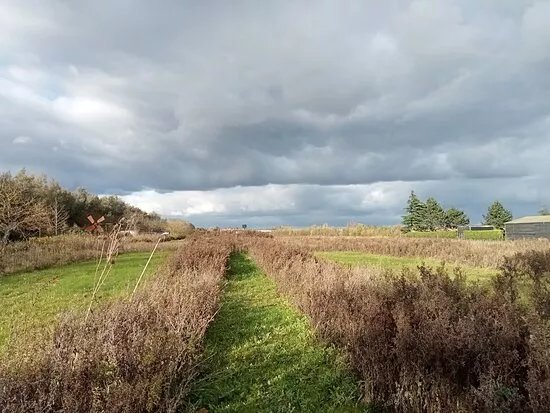 Ziedewij Natuurgoed