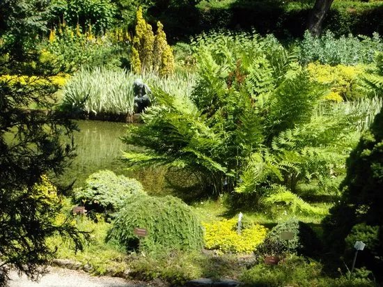 Taman Arboretum Trompenburg
