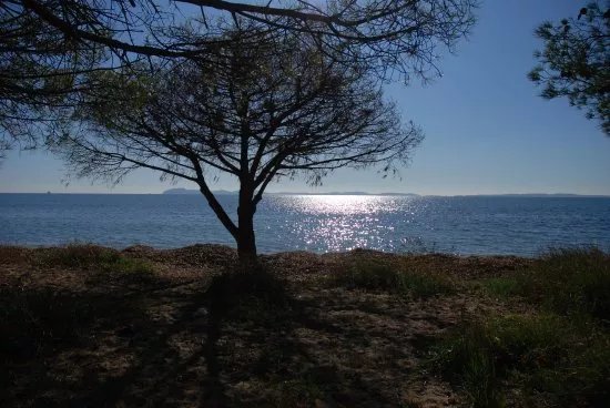 Plage des Salins