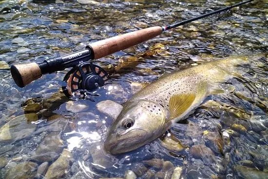 Axel & Travel Fishing Guides