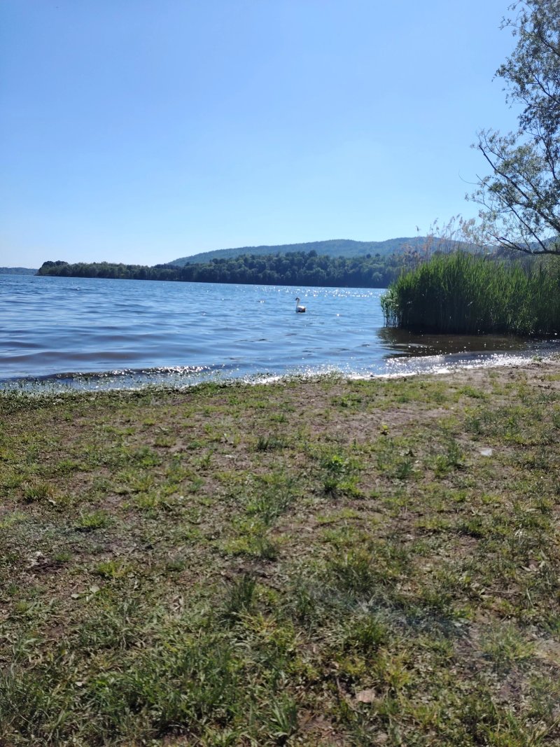 Parco Berrini