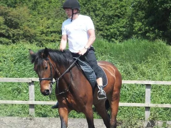 Little Abbots Farm Riding School