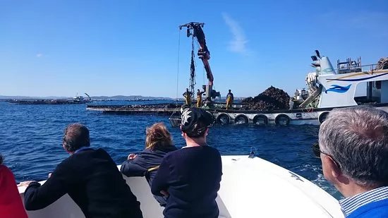 Amare Turismo Nautico